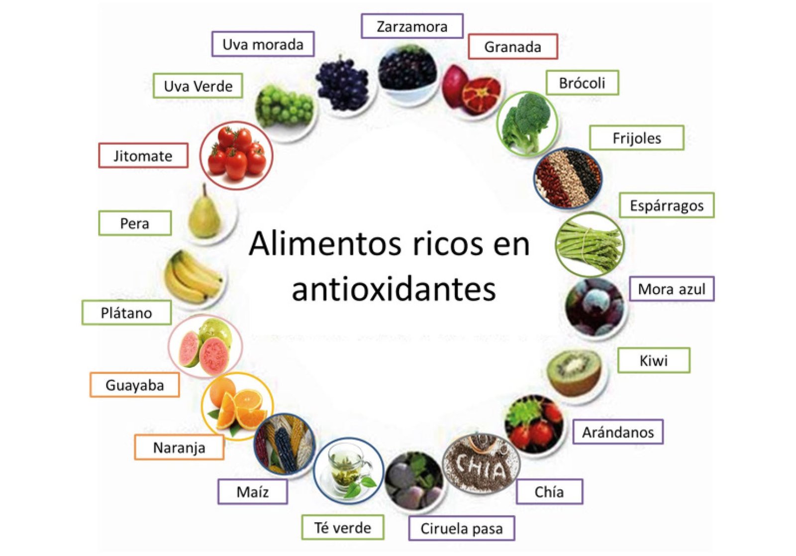 ¿para Qué Sirven Los Antioxidantes Y Dónde Podemos Encontrarlos Farmawell